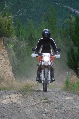 110116 Dusty Riders Wangapeka Track 12 Pic Dave Crean.jpg