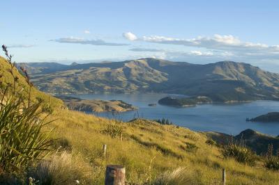 Lyttelton harbour.jpg