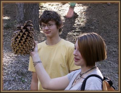 Pine Cone Head