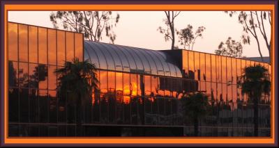 Orangey Reflections