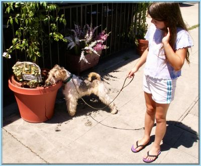 The First Walk