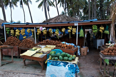 tender coconut shops