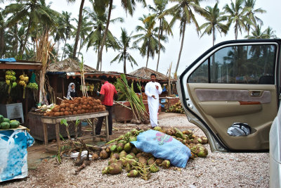 tender coconut shops