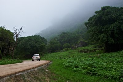 Dalkut
