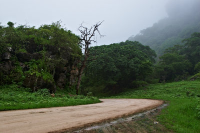 Dalkut
