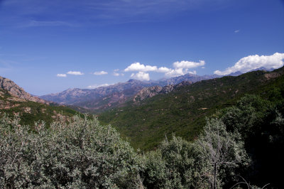 IMGP6422.jpg