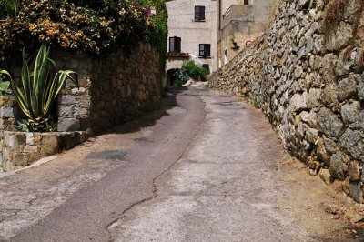 IMGP6540.jpg