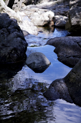 IMGP6785.jpg