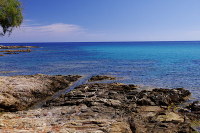 IMGP6856.jpg