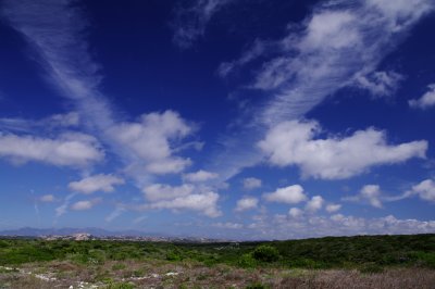 IMGP7132.jpg