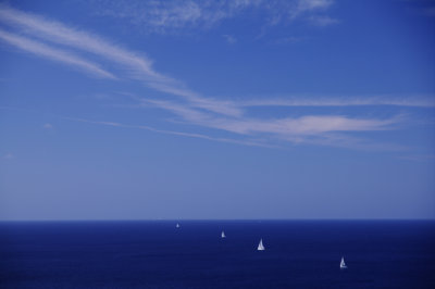 IMGP7135.jpg