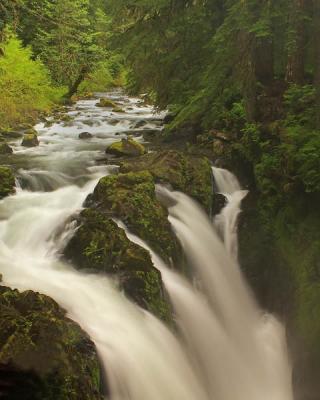 Sol Duc Falls 1w.jpg