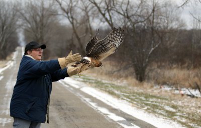 Harrier county