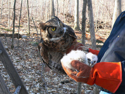 Harvey and baby April 16 2009