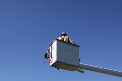 Jamie Lindholm goes up with camera to see what is happening on the nest