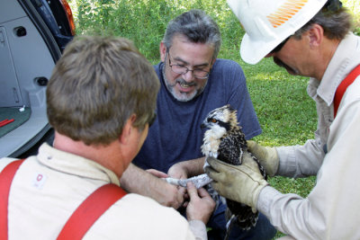 Chuck Petters has been banding with us since the early 80s