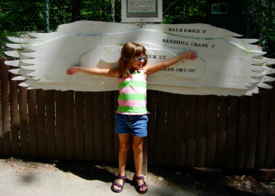 Kate's wingspan