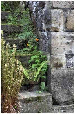Rustic steps