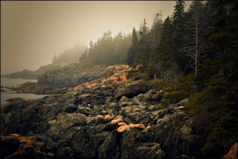 Maine Coastline