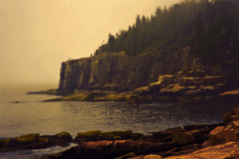 Maine Coastline