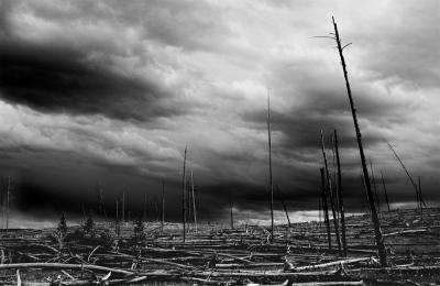 Yellowstone - The Aftermath
