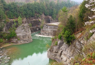 Letchworth Lower Falls Footbridge