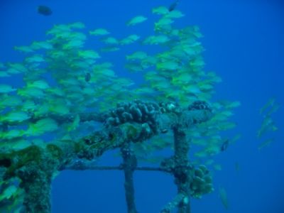 IMG_7708.JPG