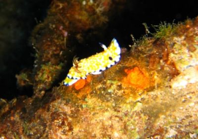 IMG_7723.JPG