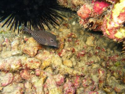 IMG_7741.JPG