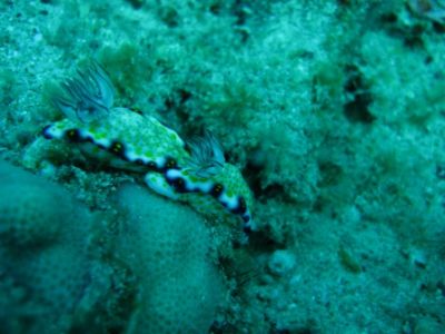 IMG_7759.JPG
