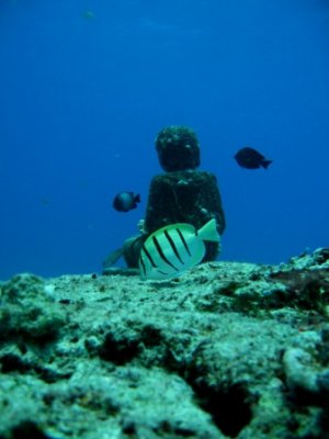 IMG_7870.JPG