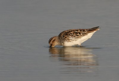 g4/90/590590/3/134339007.oXEMzEPd.jpg