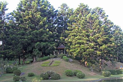 Cibodas Botanical Gardens