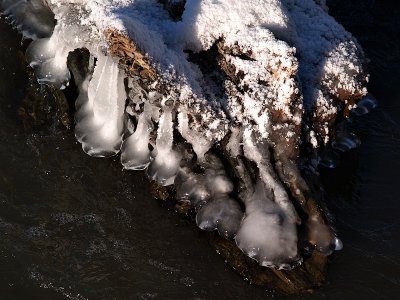Ice n Log in the River.jpg