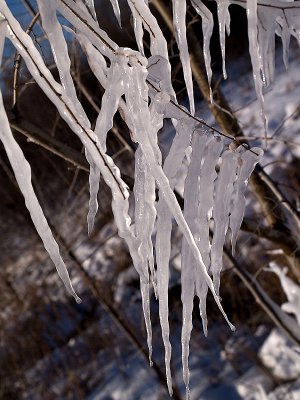 Icy Needles