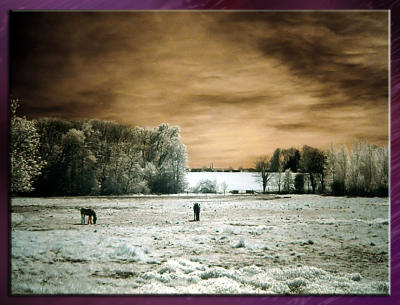 Pb_Infrared_Infrarouge_05.jpg