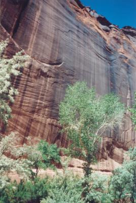 g4/90/654790/3/59755033.CanyondeChelley.jpg