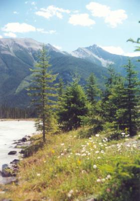 Kootenay Valley.jpg