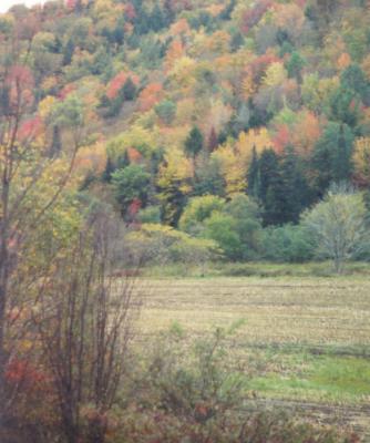 Vermont Countryside.jpg