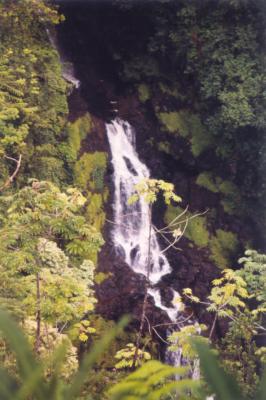 Maui Roadside Waterfall.jpg