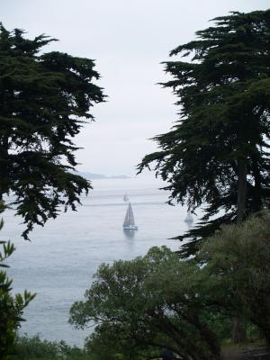 g4/90/654790/3/60833359.SFFavoritesSalingonSFBay.jpg