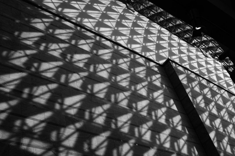 Shadows in the Esplanade