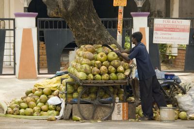 Coconut stall by the road