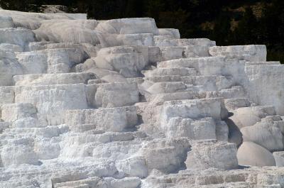 White Terraces of Mammoth Springs II