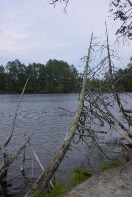 Chase Point