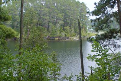 Zasiers Island View from Chase Point