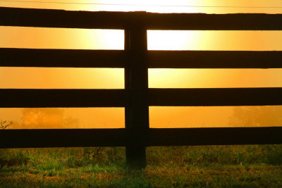 A Fence at Sunrise