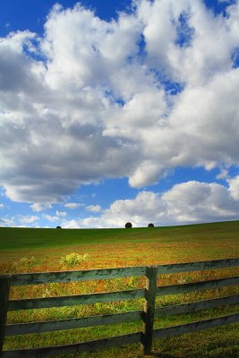 BIG SKY