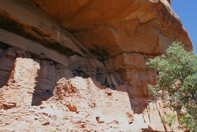 Ancient Indian Cliff Dwellings