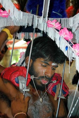 Thaipusam Festival